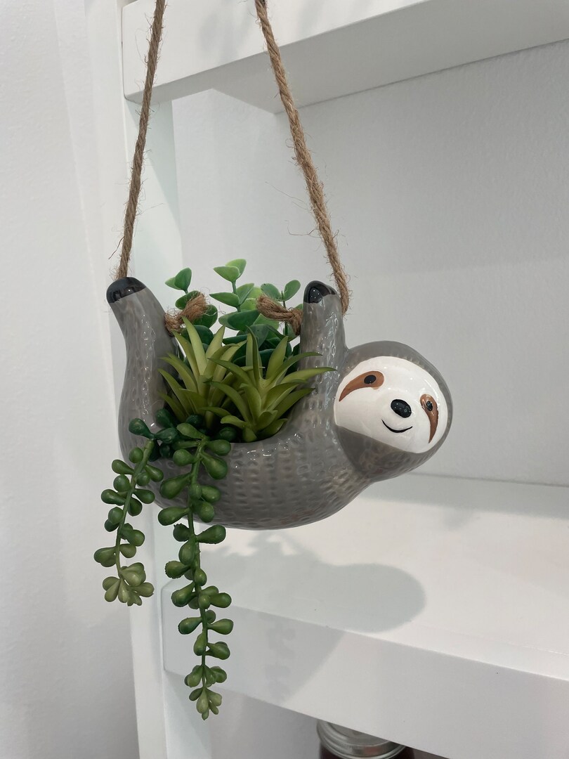 Sloth Hanging Succulent Sloth Hanging Succulent